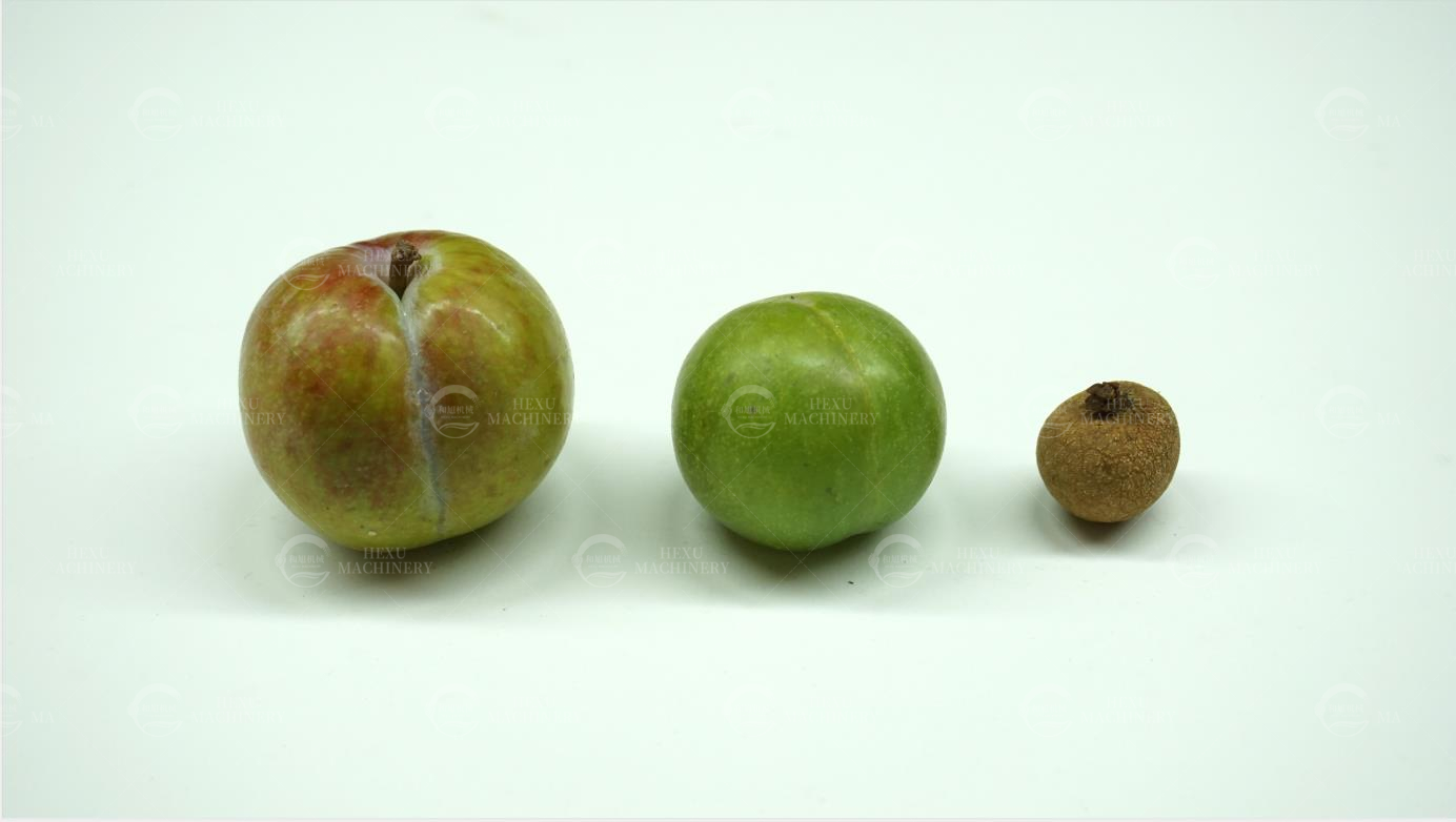 fruit size sorting machine