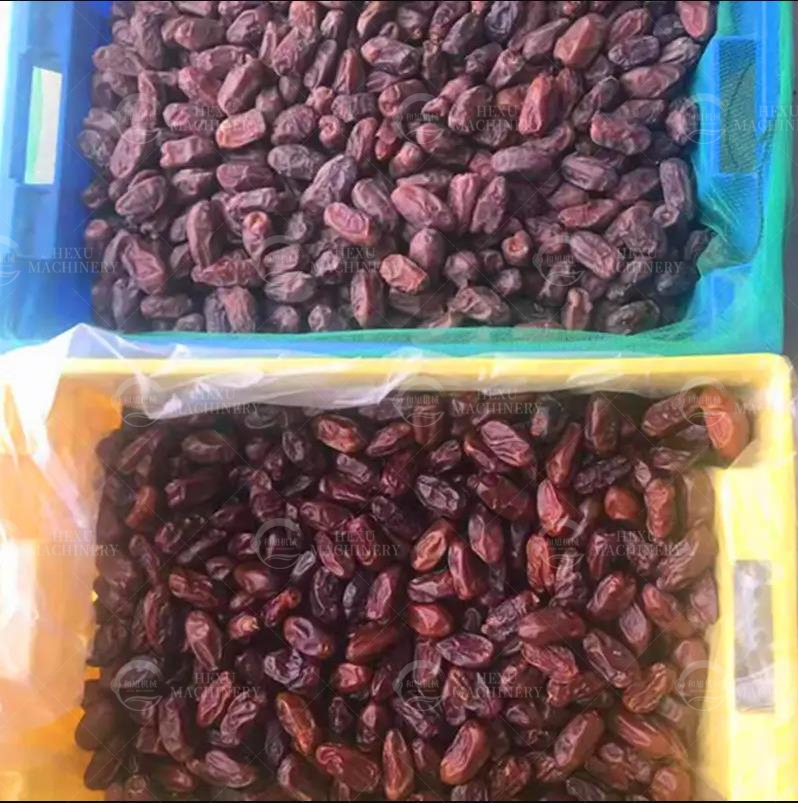 椰枣清洗风干机