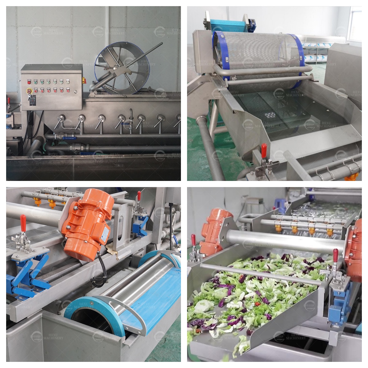 vortex type vegetable and fruit washing machine