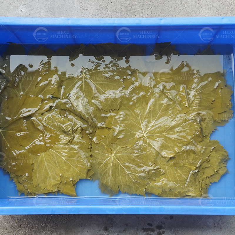 葡萄叶清洗机