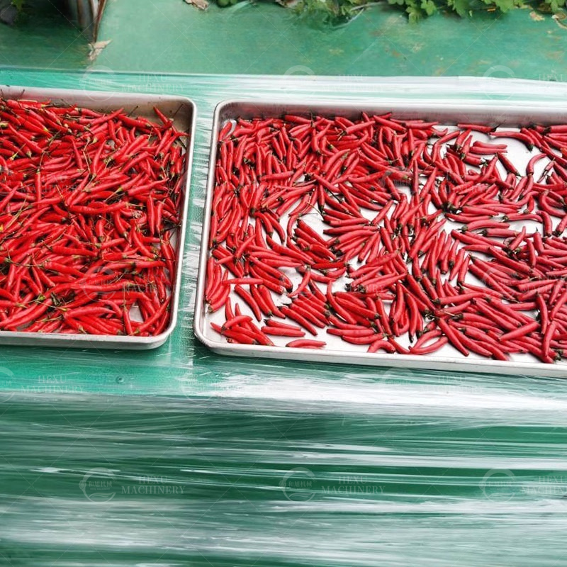 fresh pepper stem cutting machine dried pepper stem removing machine
