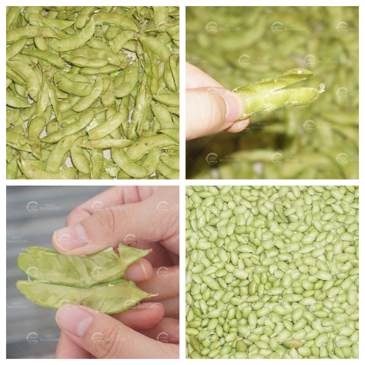 剥毛豆机 剥毛豆机