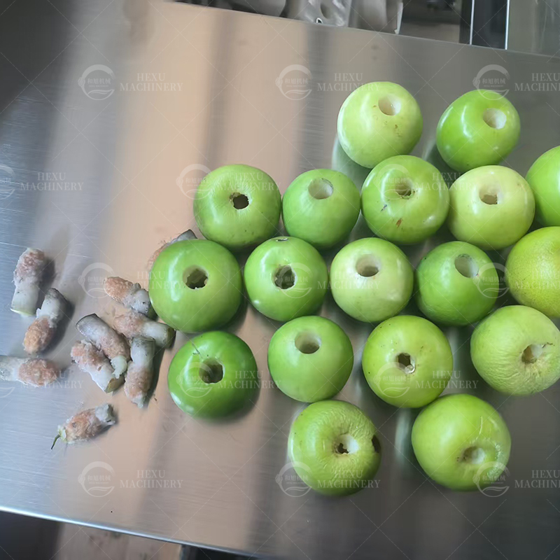 apple coring machine.jpg