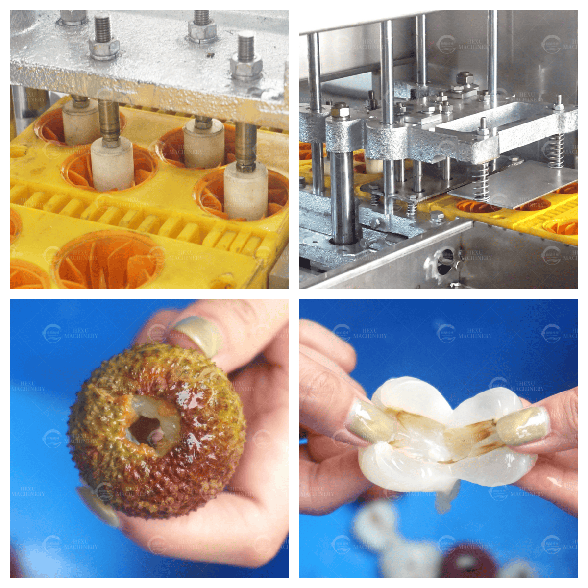Litchi Pitting Machine