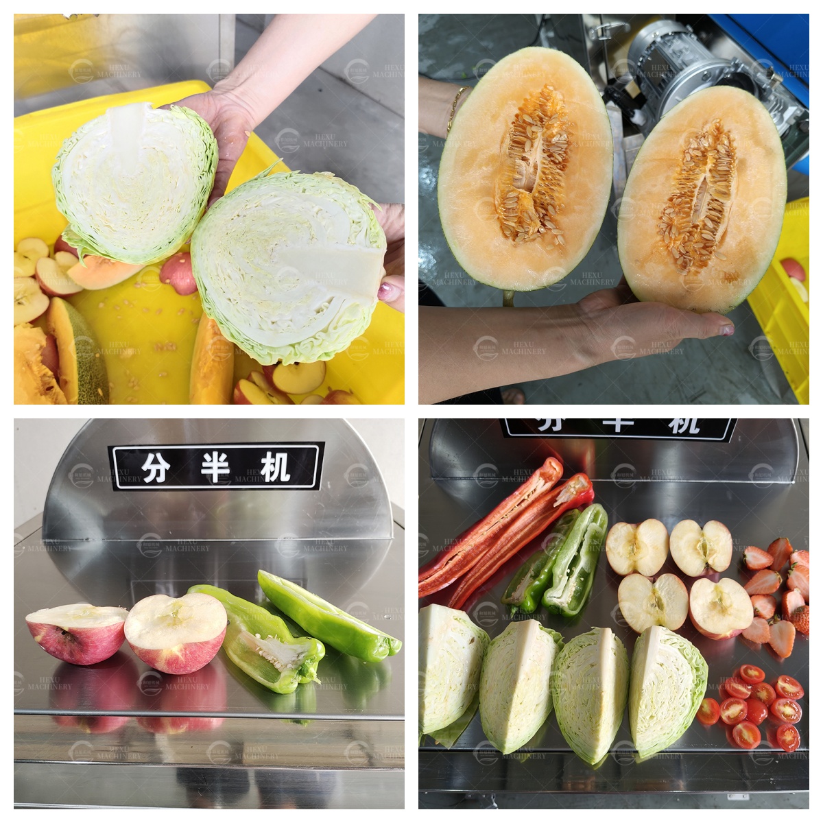apple separating machine
