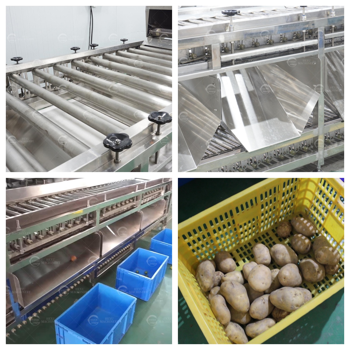 sweet potato grading machine