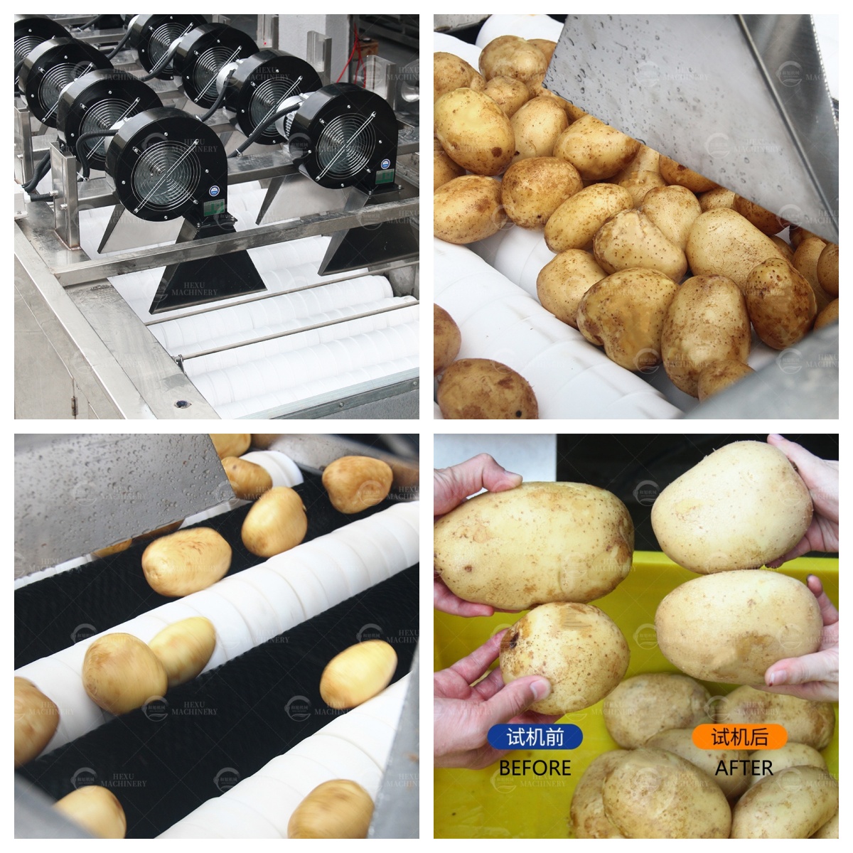 potato sponge dryer
