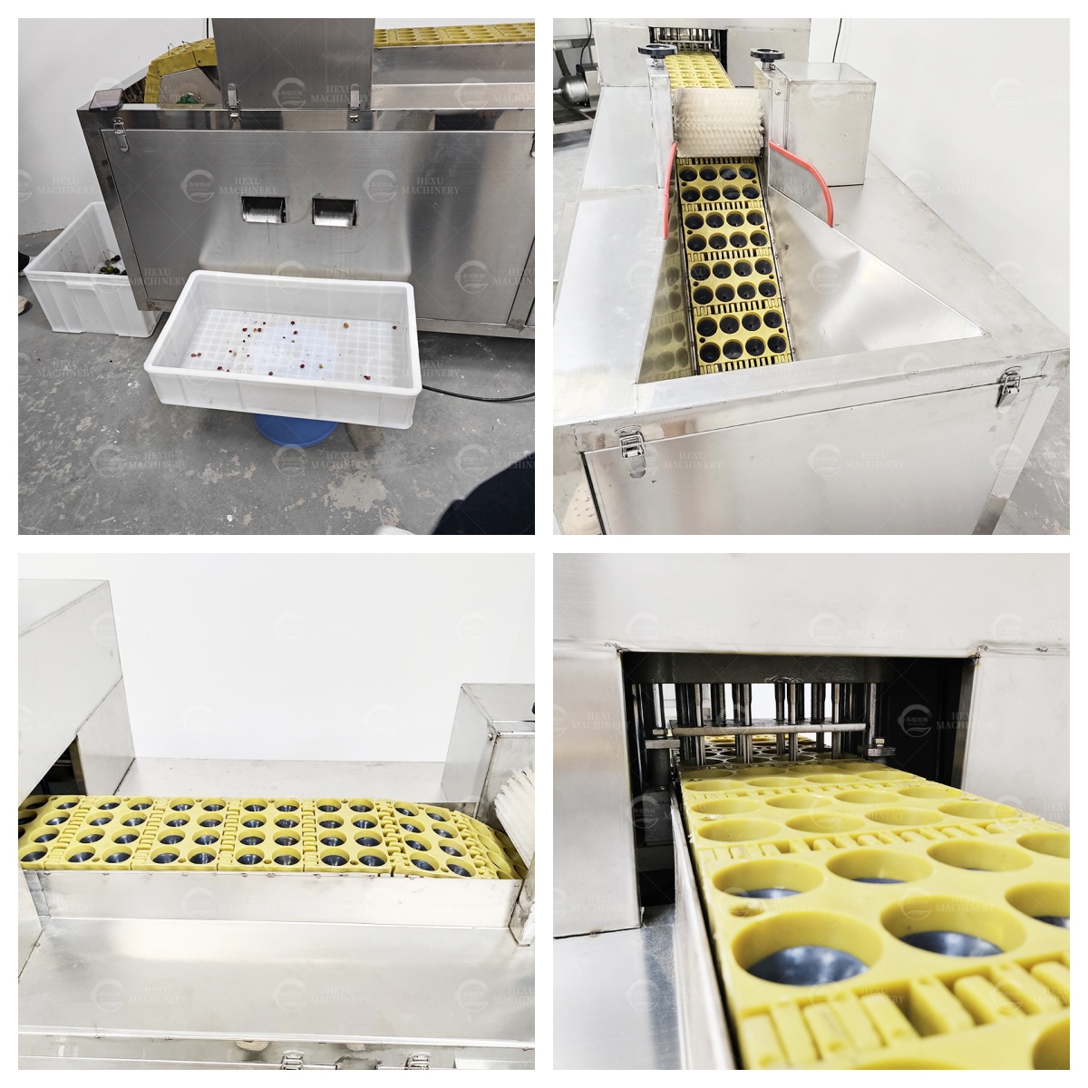 fruits coring machine