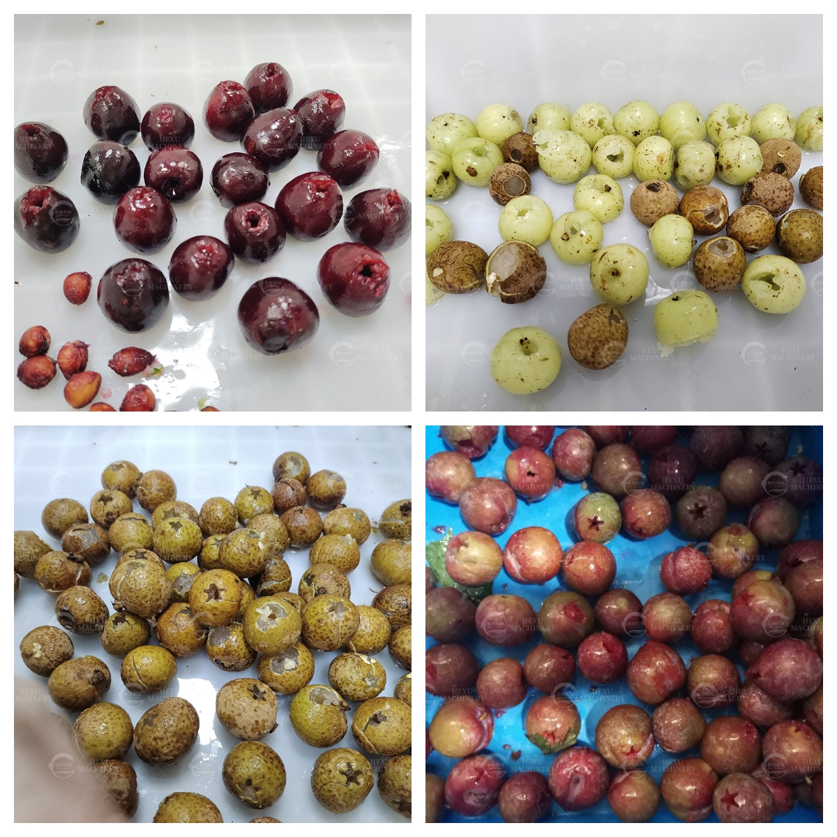 plum coring machine