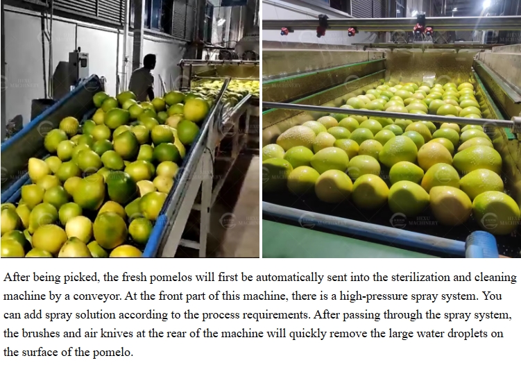 pomelo washing and drying line