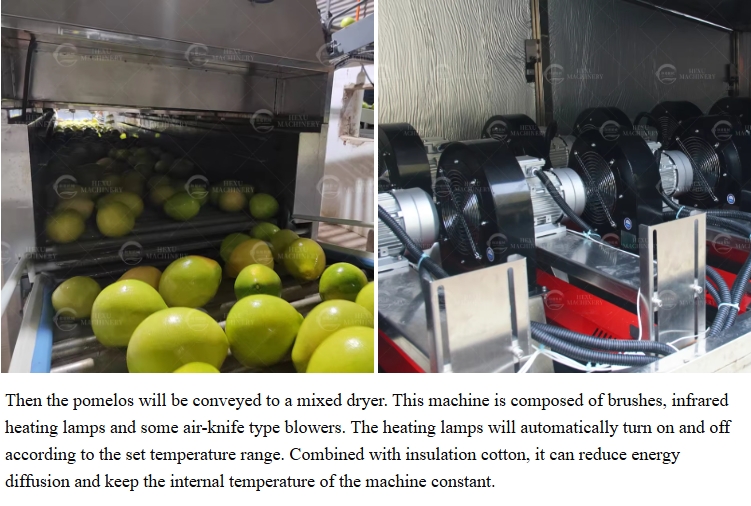 industrial fruits washing and drying machines
