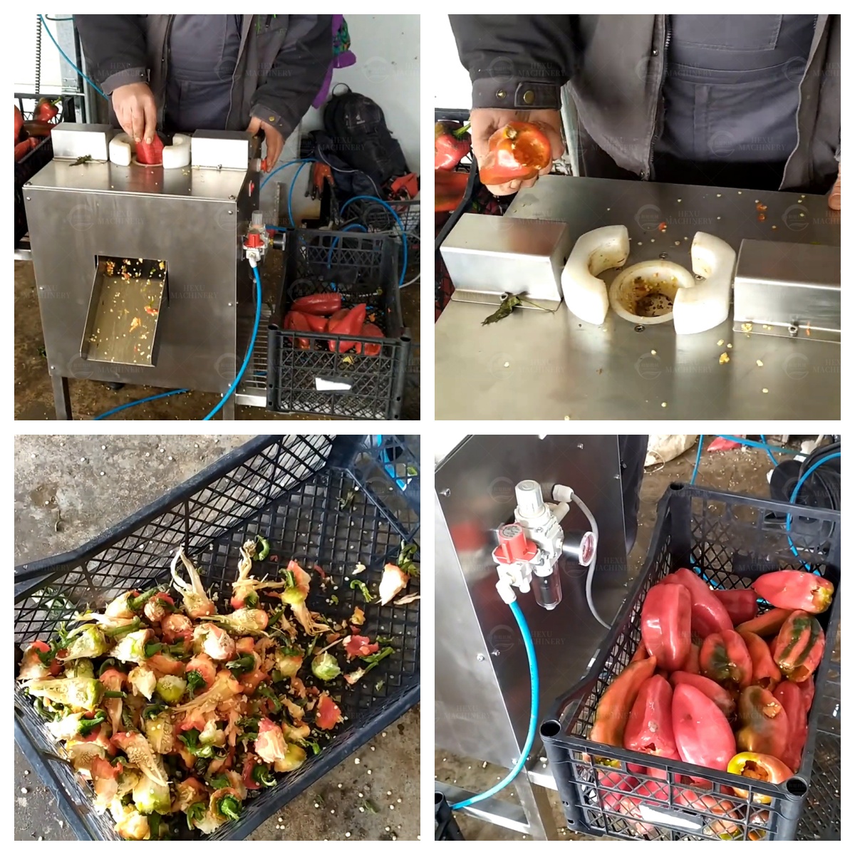 辣椒去籽机 辣椒取籽机