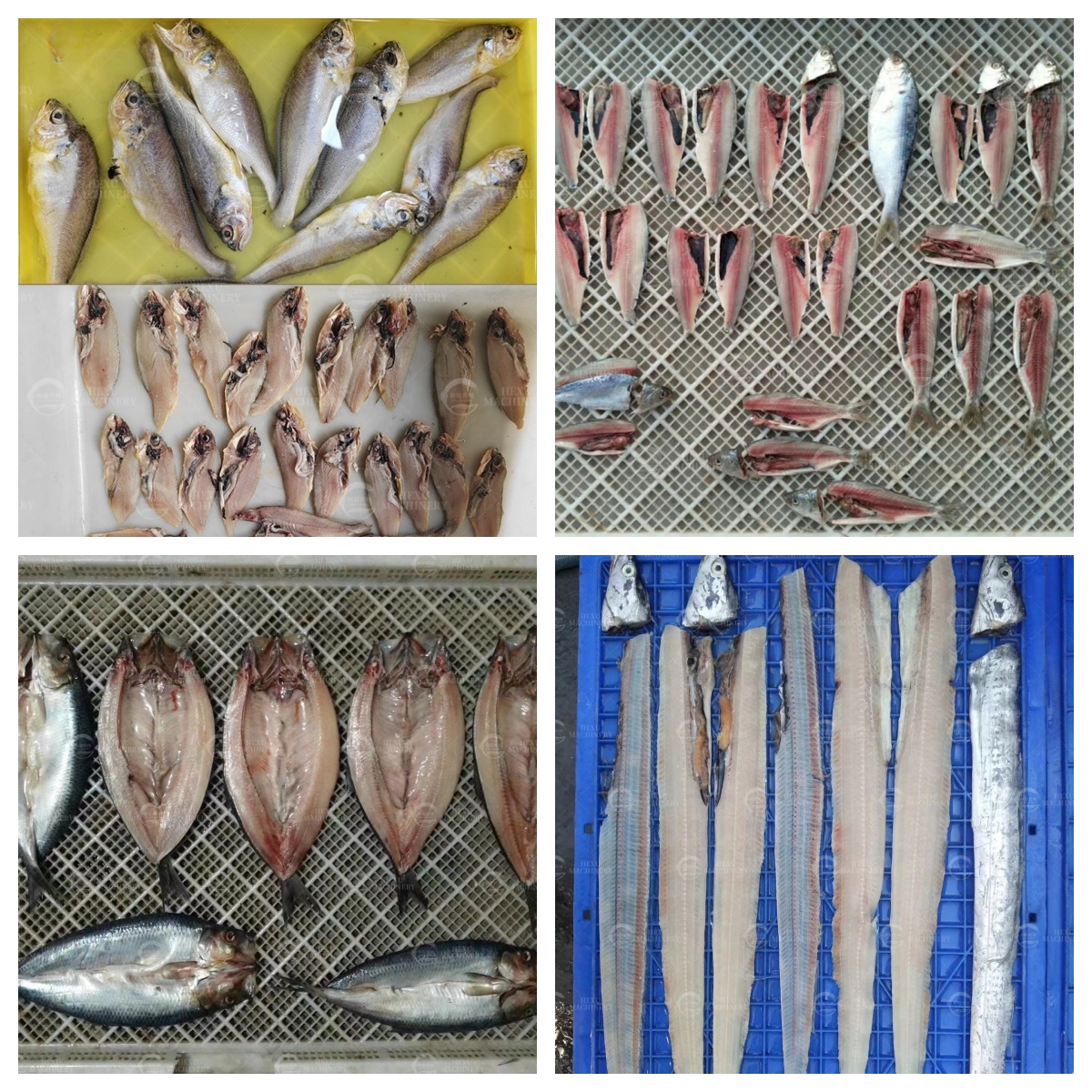 fish filleting machine fish slicing machine