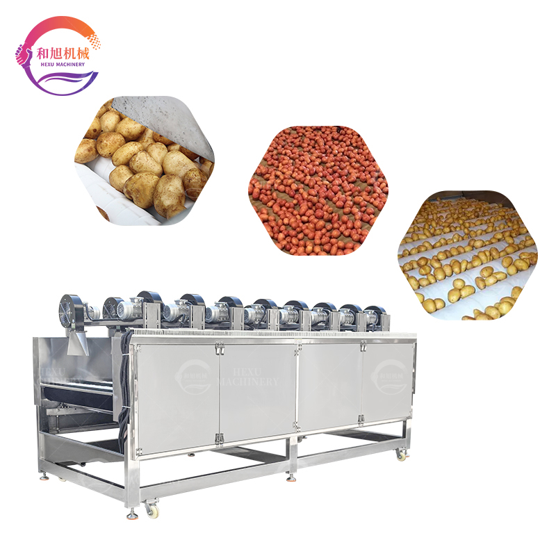 Sponge Drying Machine: A Game Changer In Dehydrating Fruits And Vegetables