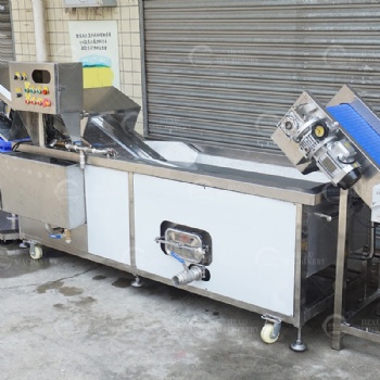 Roots Peeling Washing Cutting and Dewatering Line