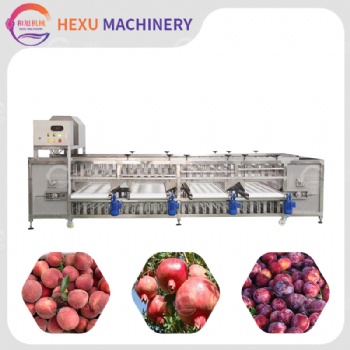 Roller Type Sorting Grading Machine