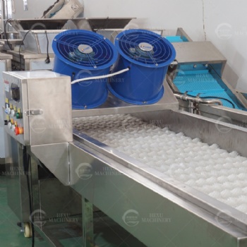Dates Palm Washing and Drying Machine