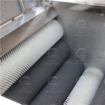 Root Vegetables Washing and Peeling Machine