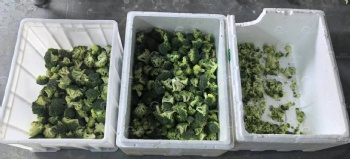 Broccoli Vibrating Grading Machine