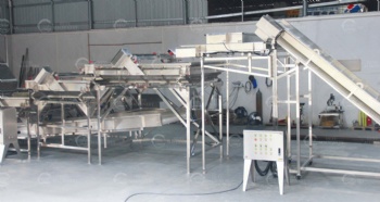 Spinach Vibrating and Air Knife Cleaning Line