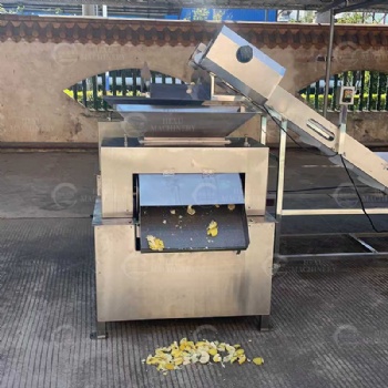 Lemon Juice Extracting Machine