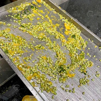 Lemon Juice Extracting Machine