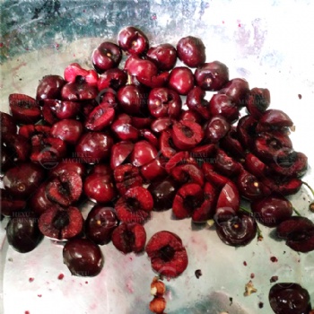 Cherry Pitting Machine