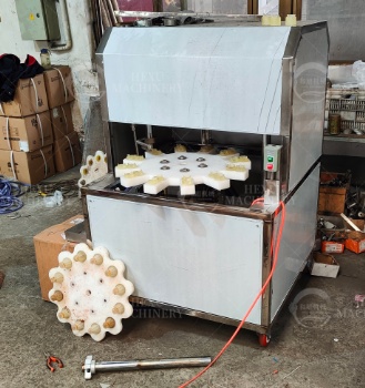 Loquat Pitting Machine
