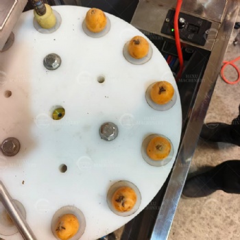 Loquat Pitting Machine