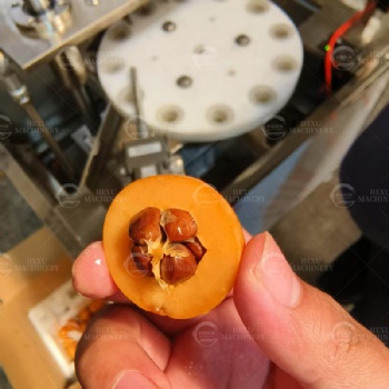 Loquat Pitting Machine