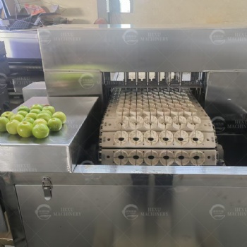 Green Apple Pitting Machine