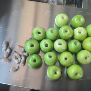 Green Apple Pitting Machine
