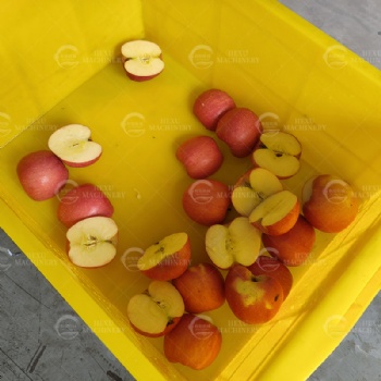 Apple Half Cutting Machine