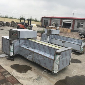Avocado Pitting Machine