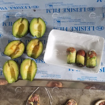 Avocado Pitting Machine