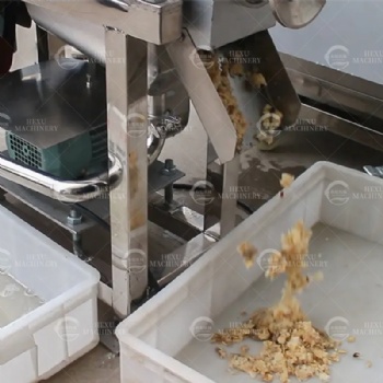 Fruit Juice Extracting Machine