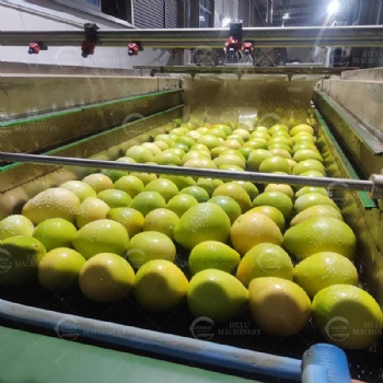 Fresh Fruits Sterilizing, Cleaning and Drying Line