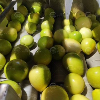 Fresh Fruits Sterilizing, Cleaning and Drying Line