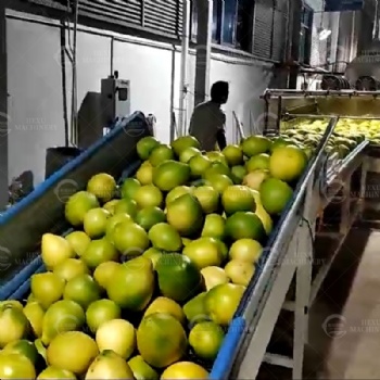 Fresh Fruits Sterilizing, Cleaning and Drying Line