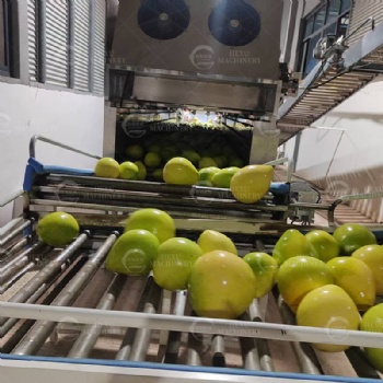 Fresh Fruits Sterilizing, Cleaning and Drying Line