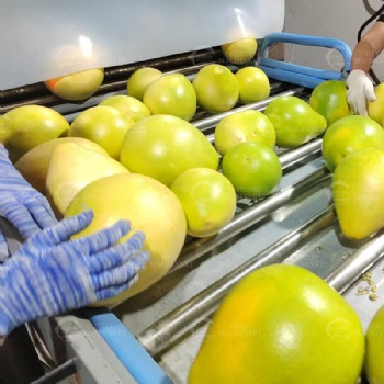 Fresh Fruits Sterilizing, Cleaning and Drying Line