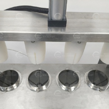 Colored Pepper Slicing Machine