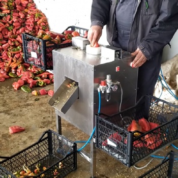 Pepper Seeds Removing Machine
