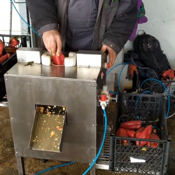 Pepper Seeds Removing Machine