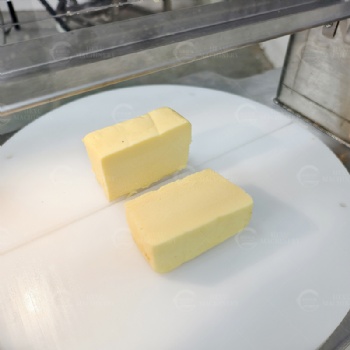 Cheese Wheel Portioning Machine