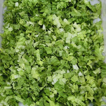 Lettuce Dicing Machine