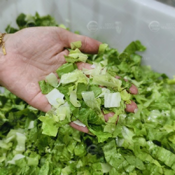 Lettuce Dicing Machine