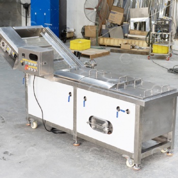 Coconut Chips Blanching Machine