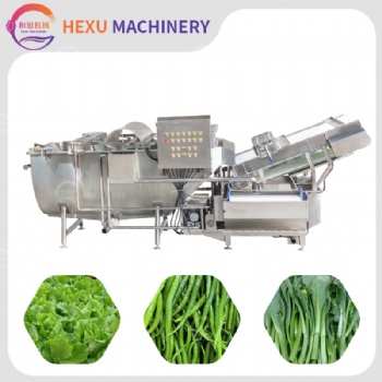 Conveyor Type Vortex Washing Machine