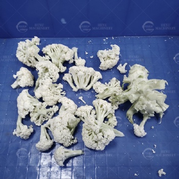 Cauliflower Floret Cutting Machine